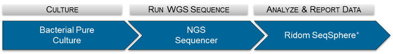 SeqSphere+ WGS Workflow