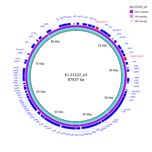 Annotated with Bakta Web and compared with BRIG