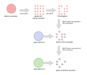 Coregenomedefinerdiagram.png