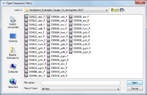 Seqsphere tutorial nmengsanger def 06 filebrowser.png