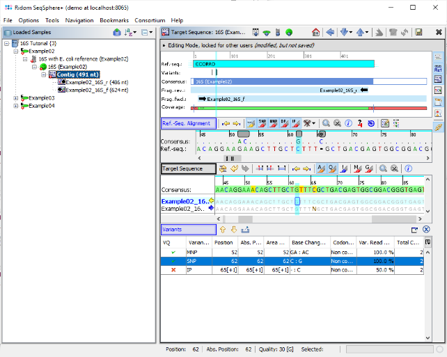 Tutorial 16s process contig variants.png