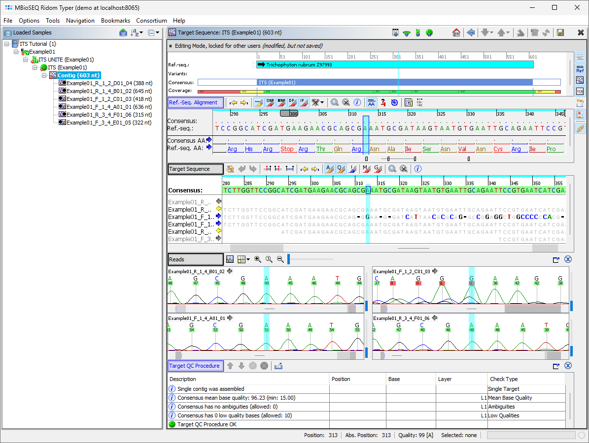 Tutorial its process contig.png
