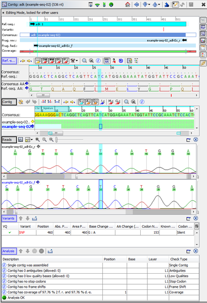 File:Seqsphere contig with chromatograms.png