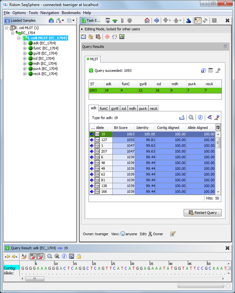 File:Seqsphere mlst result.png