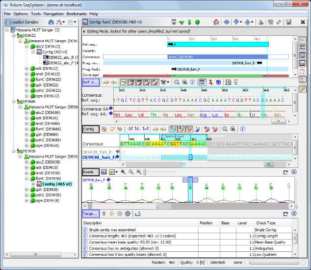 Seqsphere tutorial nmengsanger import 08 correctedcontig.png