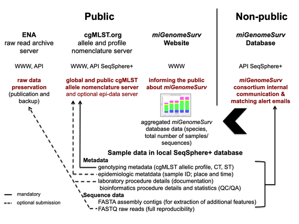 Consortium workflow migenomesuv.png