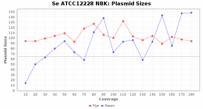 Covtitresults se nbk plasmidsize.png