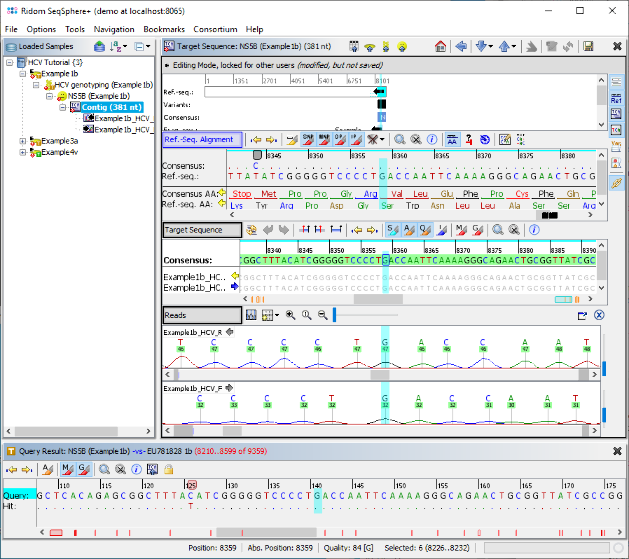 Tutorial hcv process chromatogram.png